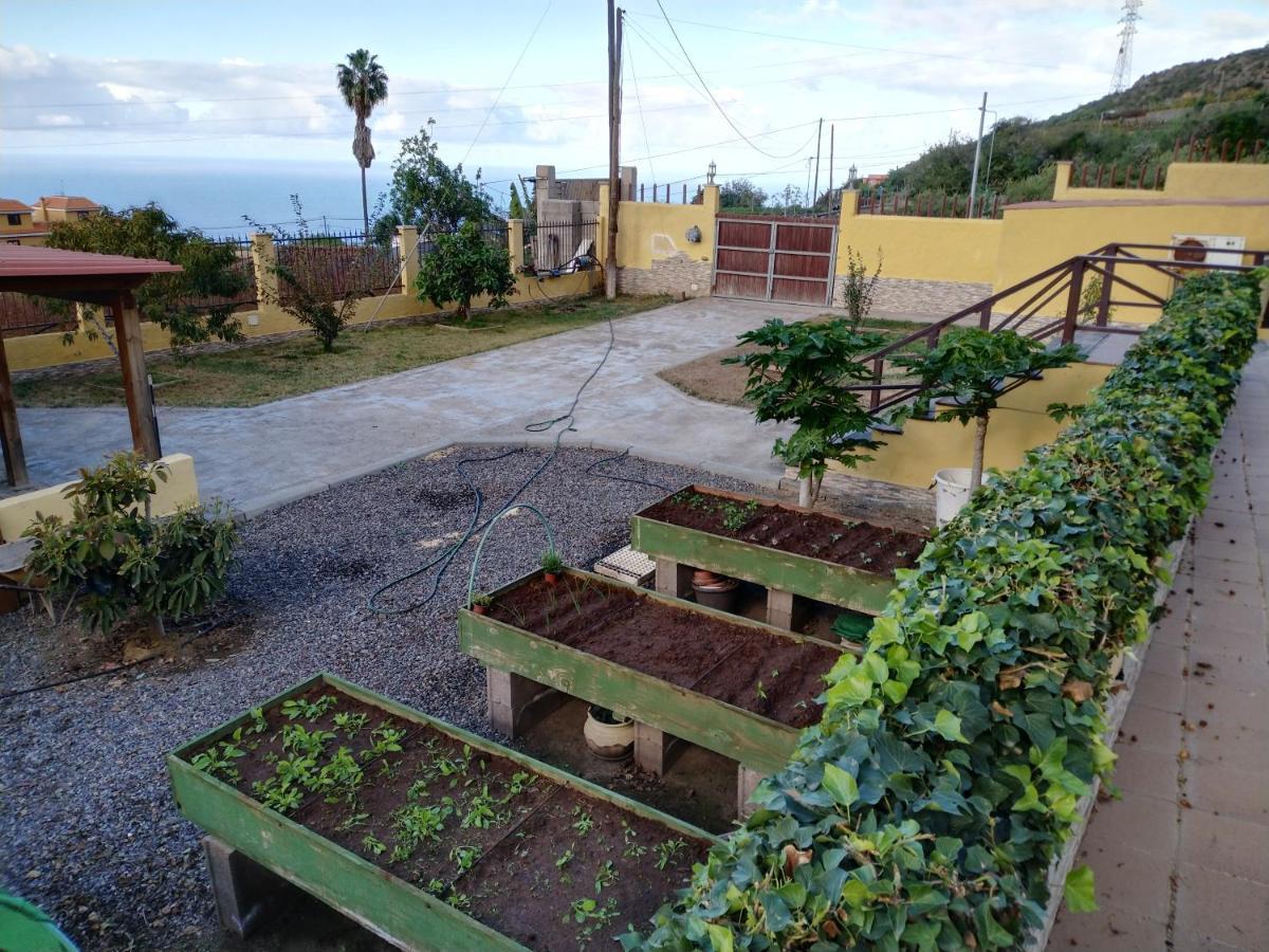 Apartamento La Costa Santa Cruz de Tenerife Exterior photo